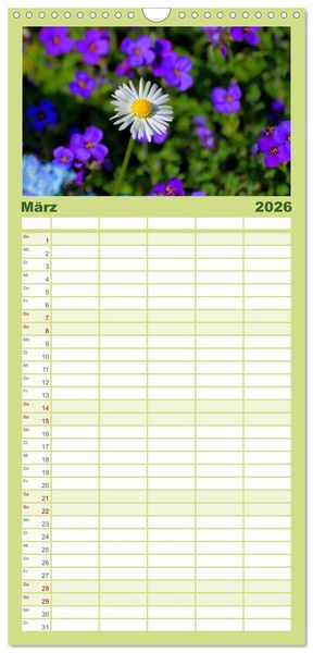Produktbild: Familienplaner 2026 - Wildblumen 2026 mit 5 Spalten (Wandkalender, 21 x 45 cm) CALVENDO
