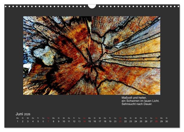 Produktbild: MAGIE HOLZ 2026 (Wandkalender 2026 DIN A3 quer), CALVENDO Monatskalender