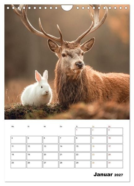 Produktbild: Ein Herz und eine Schnauze - Ein tierisch buntes Miteinander (Wandkalender 2027 DIN A4 hoch), CALVENDO Monatskalender
