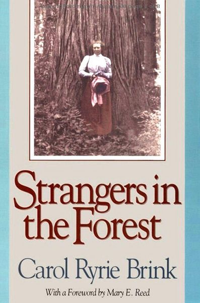 Produktbild: Strangers in the Forest