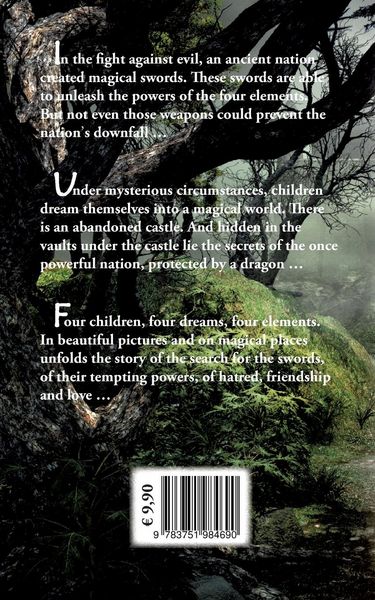 Produktbild: Naterra - The Swords of the Four Elements