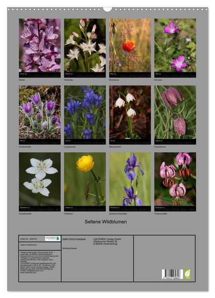 Produktbild: Seltene Wildblumen (Wandkalender 2026 DIN A2 hoch), CALVENDO Monatskalender