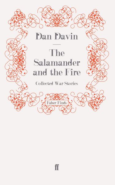 Produktbild: The Salamander and the Fire