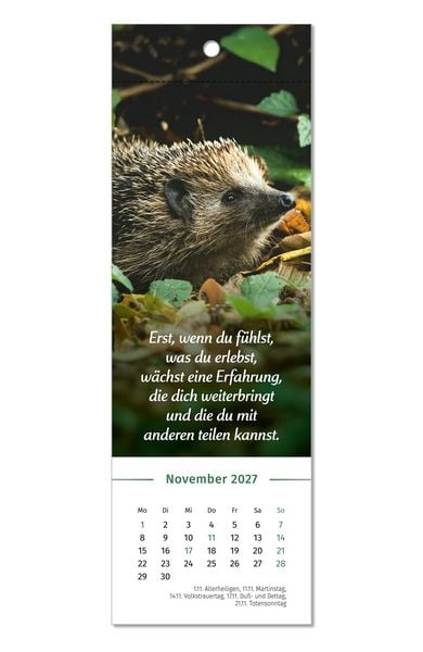 Produktbild: Der Lebensfreude-Lesezeichenkalender 2027