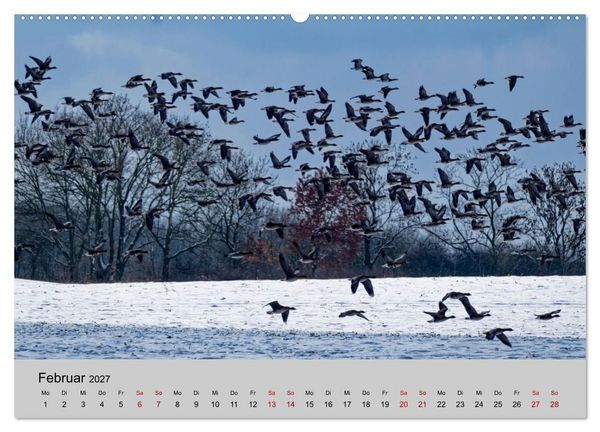 Produktbild: Biosph&auml;renreservat Schaalsee (hochwertiger Premium Wandkalender 2027 DIN A2 quer), Kunstdruck in Hochglanz