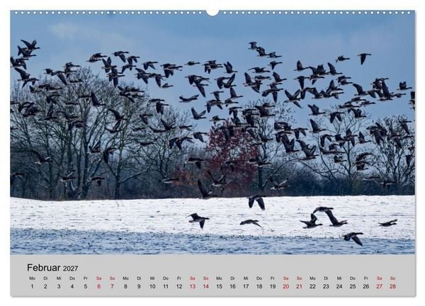 Produktbild: Biosph&auml;renreservat Schaalsee (Wandkalender 2027 DIN A2 quer), CALVENDO Monatskalender