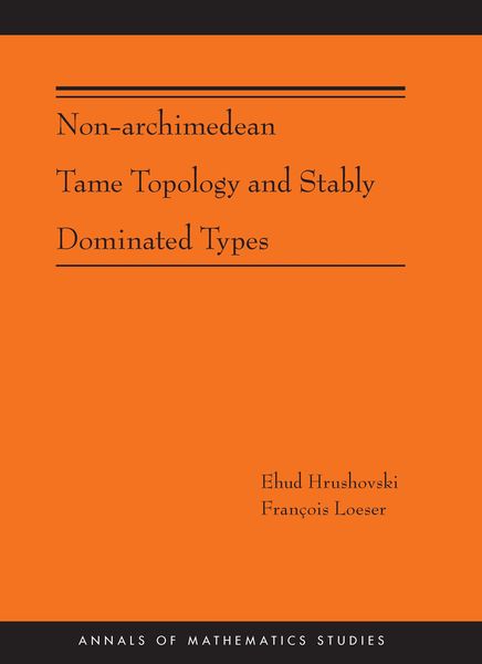 Produktbild: Non-Archimedean Tame Topology and Stably Dominated Types