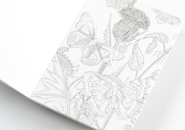 Produktbild: Natural History