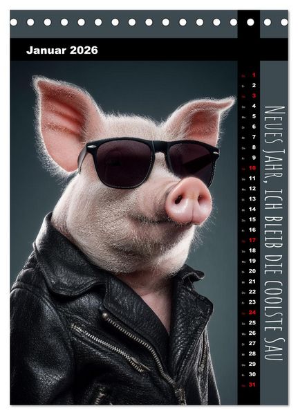 Produktbild: Coole Sau - Lustiger Spr&uuml;che Kalender mit witzigen Schweinchen (Tischkalender 2026 DIN A5 hoch), CALVENDO Monatskalender