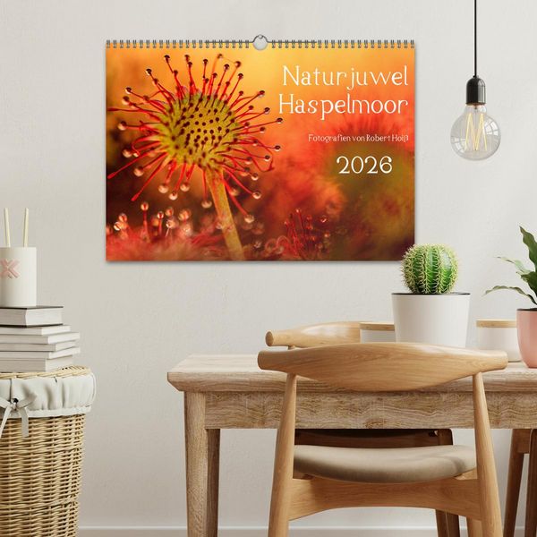 Produktbild: Naturjuwel Haspelmoor (Wandkalender 2026 DIN A3 quer), CALVENDO Monatskalender