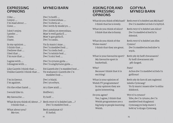 Produktbild: Welsh Gem Dictionary