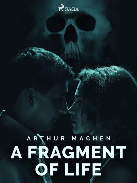 Produktbild: A Fragment of Life