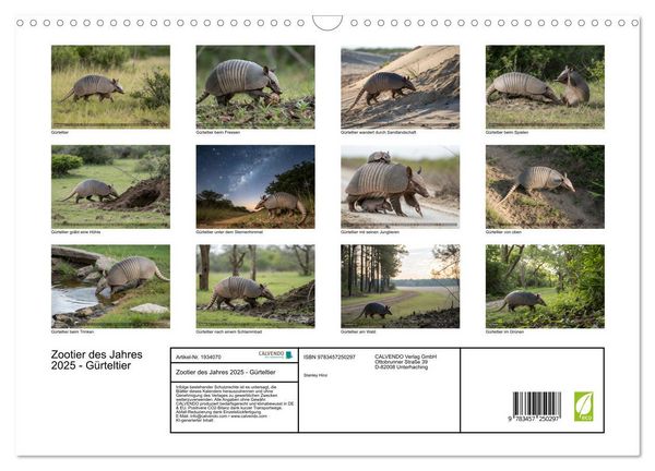 Produktbild: Zootier des Jahres 2025 - G&uuml;rteltier (Wandkalender 2026 DIN A3 quer), CALVENDO Monatskalender