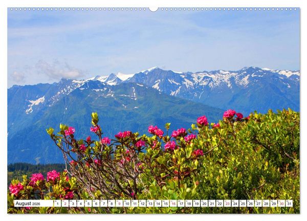 Produktbild: Pinzgauer Spaziergang (hochwertiger Premium Wandkalender 2026 DIN A2 quer), Kunstdruck in Hochglanz