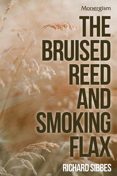 Produktbild: The Bruised Reed