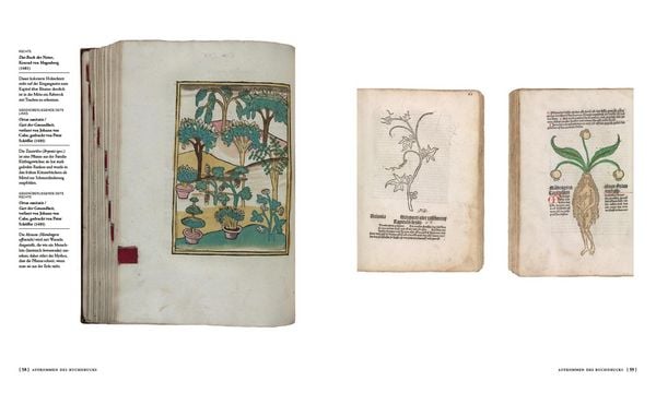 Produktbild: Die Geschichte der Botanik in 300 B&uuml;chern