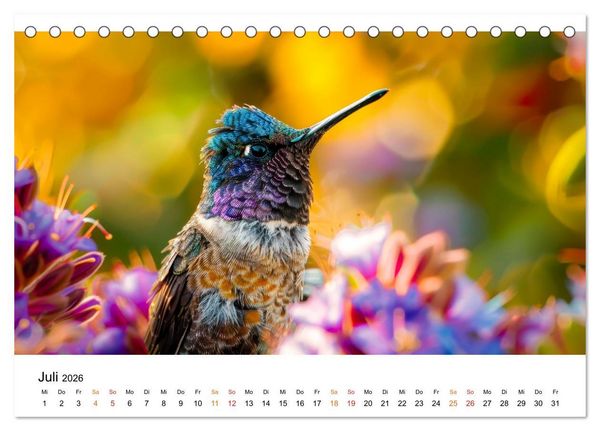 Produktbild: Kolibris - kleine Wunder der Natur (Tischkalender 2026 DIN A5 quer), CALVENDO Monatskalender