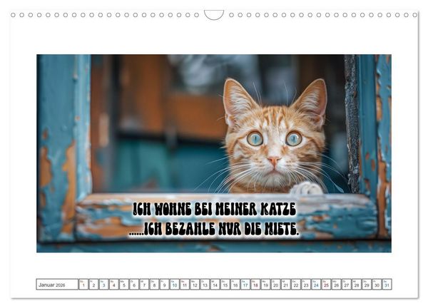 Produktbild: Katzenpower (Wandkalender 2026 DIN A3 quer), CALVENDO Monatskalender