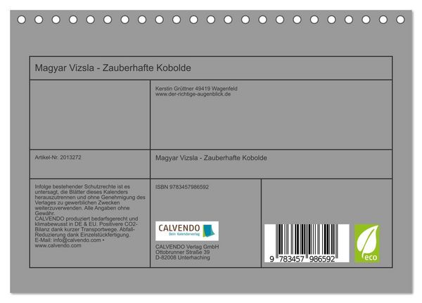 Produktbild: Magyar Vizsla - Zauberhafte Kobolde (Tischkalender 2026 DIN A5 quer), CALVENDO Monatskalender
