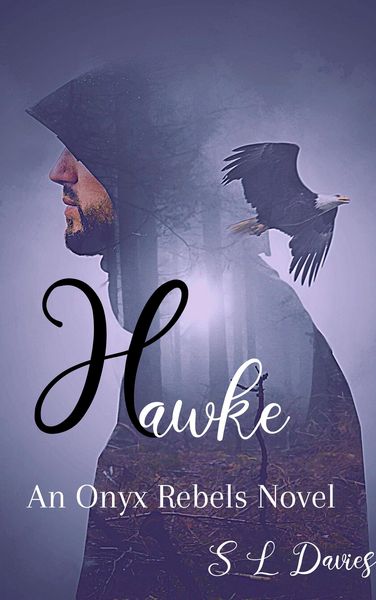 Produktbild: Hawke (Onyx Rebels, #2)