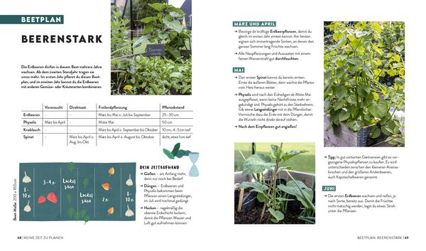 Produktbild: Keine Zeit zu g&auml;rtnern &ndash;&nbsp;Easy planen, pflegen und ernten: Gem&uuml;se, Kr&auml;uter & Beeren