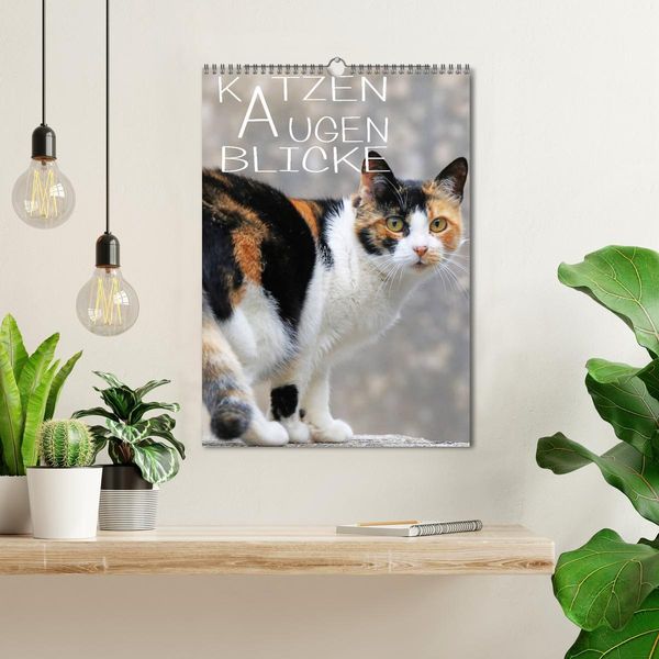 Produktbild: KATZEN AUGEN BLICKE (Wandkalender 2026 DIN A3 hoch), CALVENDO Monatskalender