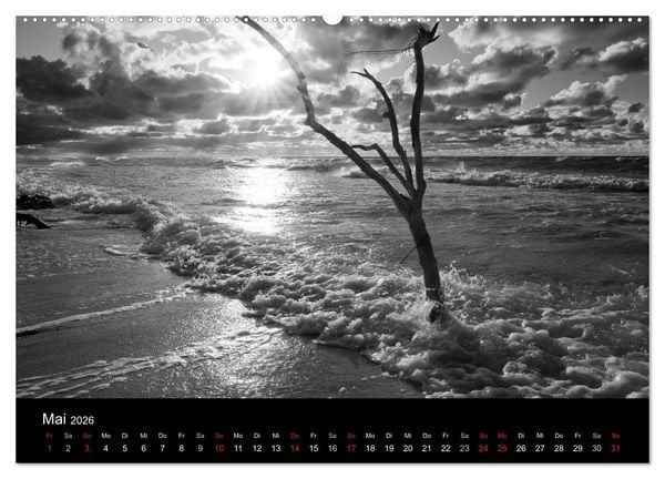 Produktbild: Strandspaziergang an der Ostsee (Wandkalender 2026 DIN A2 quer), CALVENDO Monatskalender