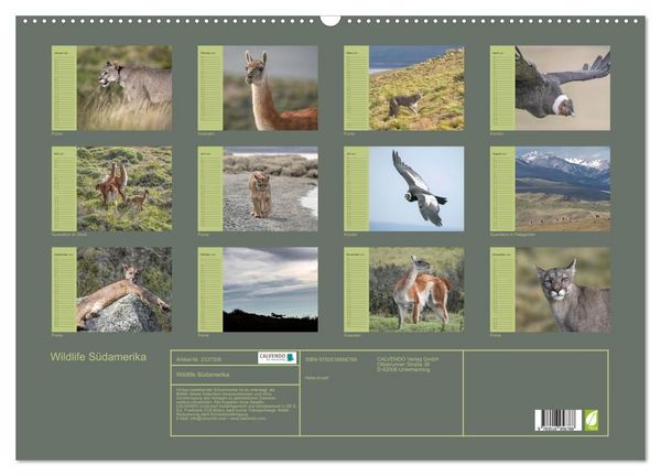 Produktbild: Wildlife S&uuml;damerika (Wandkalender 2027 DIN A2 quer), CALVENDO Monatskalender