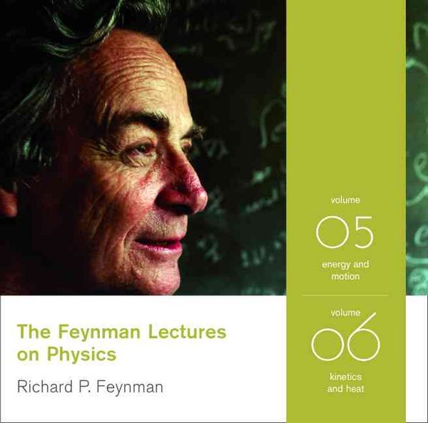 Produktbild: FEYNMAN LECTURES ON PHYSICS  D