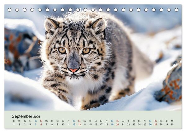Produktbild: Tierkinder in Eis und Schnee (Tischkalender 2026 DIN A5 quer), CALVENDO Monatskalender