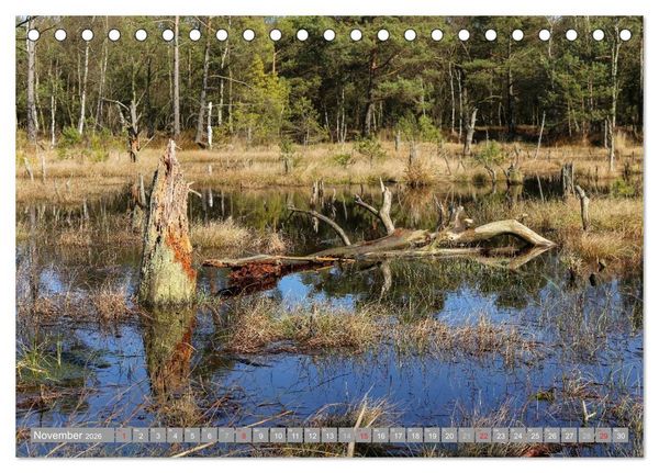 Produktbild: Pietzmoor - ein Hochmoor in der L&uuml;neburger Heide (Tischkalender 2026 DIN A5 quer), CALVENDO Monatskalender