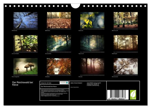 Produktbild: Der Reichswald bei Kleve (Wandkalender 2026 DIN A4 quer), CALVENDO Monatskalender