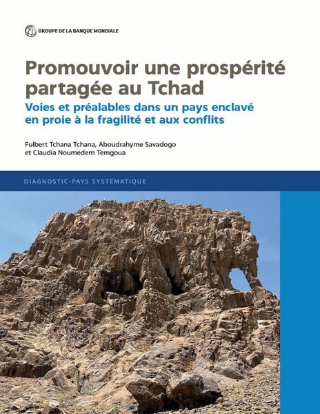 Produktbild: Promouvoir une prosp&eacute;rit&eacute; partag&eacute;e au Tchad