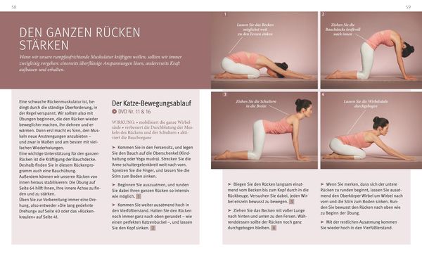 Produktbild: Yoga f&uuml;r den R&uuml;cken (mit DVD)