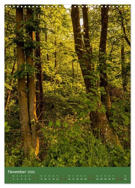 Produktbild: Ich bin dann mal im Wald (Wandkalender 2026 DIN A3 hoch), CALVENDO Monatskalender