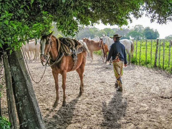 Produktbild: CALVENDO Puzzle Gaucho - Estancia San Juan Poriah&uacute; | 1000 Teile Lege-Gr&ouml;&szlig;e 64x48cm Foto-Puzzle f&uuml;r gl&uuml;ckliche Stunden