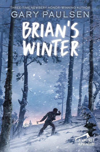 Produktbild: Brian's Winter