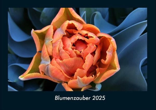 Produktbild: Blumenzauber 2025 Fotokalender DIN A4