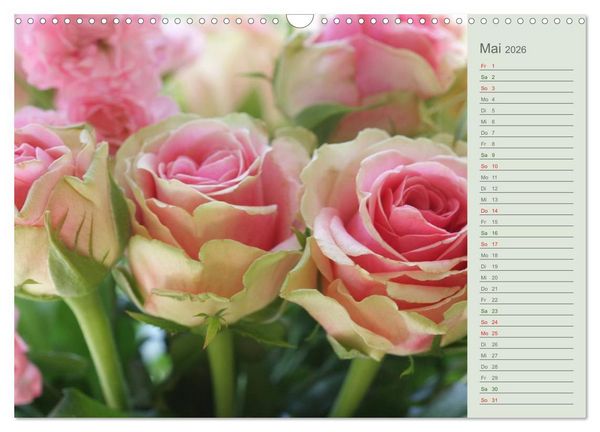 Produktbild: Rosen, Rosen ... arrangiert und am Strauch (Wandkalender 2026 DIN A3 quer), CALVENDO Monatskalender