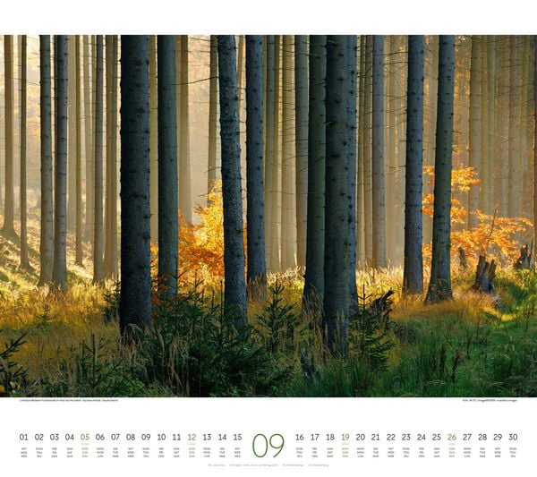Produktbild: Wald Kalender 2027