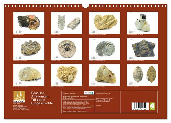 Produktbild: Fossilien - Ammoniten, Trilobiten, Erdgeschichte (Wandkalender 2026 DIN A3 quer), CALVENDO Monatskalender