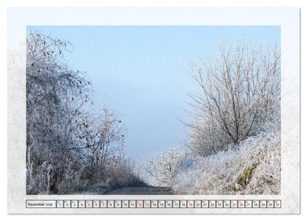 Produktbild: Jeden Monat in der Natur (Wandkalender 2026 DIN A2 quer), CALVENDO Monatskalender