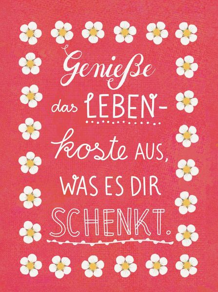 Produktbild: Lebe wild und voller Wunder