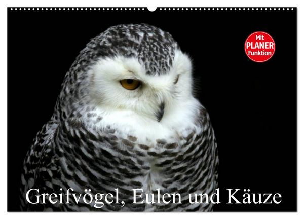 Produktbild: Greifv&ouml;gel, Eulen und K&auml;uze (Wandkalender 2026 DIN A2 quer), CALVENDO Monatskalender
