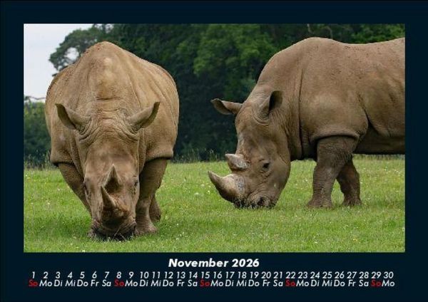Produktbild: Zoobewohner 2026 Fotokalender DIN A5