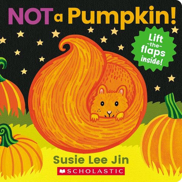 Produktbild: Not a Pumpkin! (a Lift-The-Flap Book)