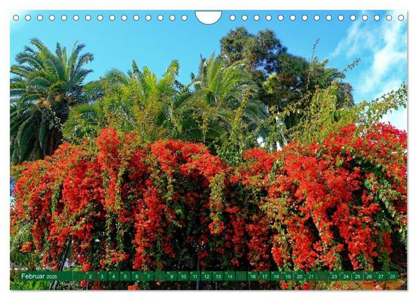 Produktbild: Madeiras Bl&uuml;tenzauber (Wandkalender 2026 DIN A4 quer), CALVENDO Monatskalender