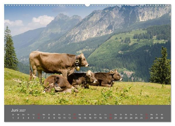 Produktbild: Tannheimer Tal (Wandkalender 2027 DIN A2 quer), CALVENDO Monatskalender