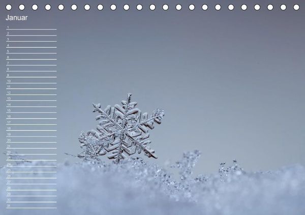 Produktbild: Nah ... N&auml;her ... MAKRO (Tischkalender immerw&auml;hrend DIN A5 quer)