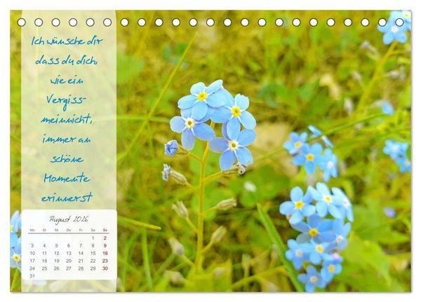 Produktbild: Bl&uuml;hende Herzensw&uuml;nsche f&uuml;r Dich! (Tischkalender 2026 DIN A5 quer), CALVENDO Monatskalender